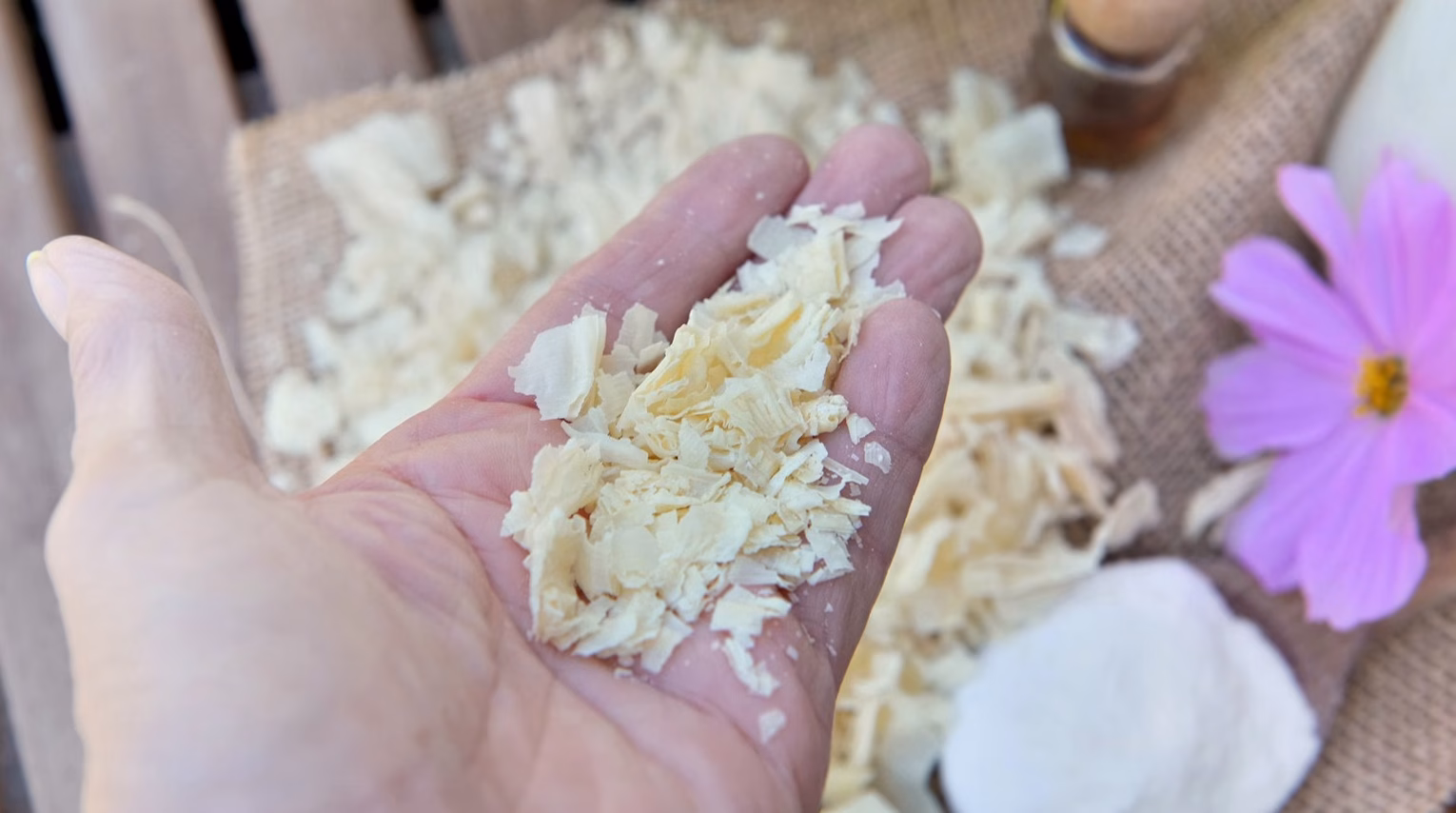 Murumuru : le beurre de murumuru et ses bienfaits pour la peau