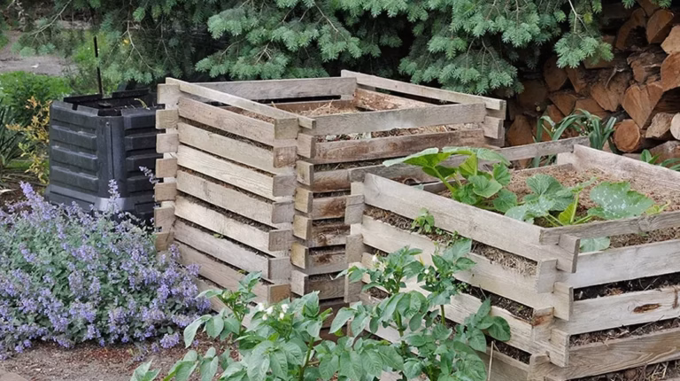 Cabane de jardin : quel bois choisir pour qu&rsquo;elle dure des années ?